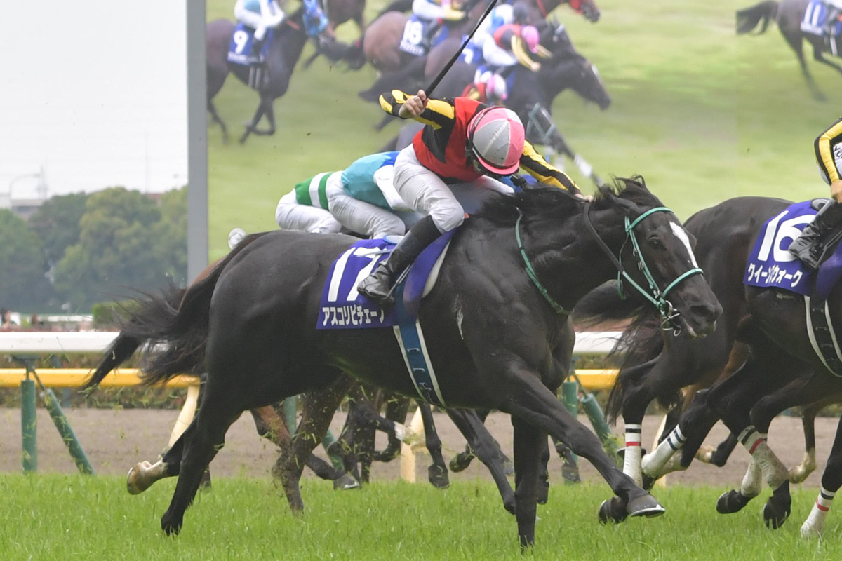 アスコリピチェーノが8・17仏GⅠジャックルマロワ賞に登録
