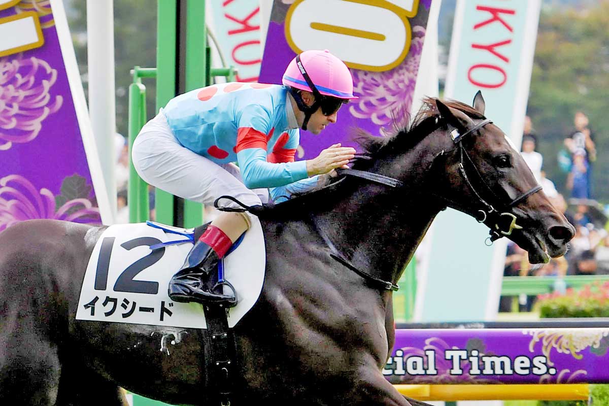 イクイノックス東スポ杯2歳S勝利後に…ルメールが語った世界一への
