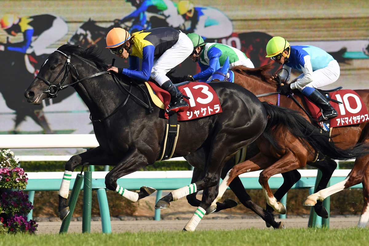 山王耕造のモデルは実在する」説を徹底追跡！〝ロイヤルハピネスの優勝