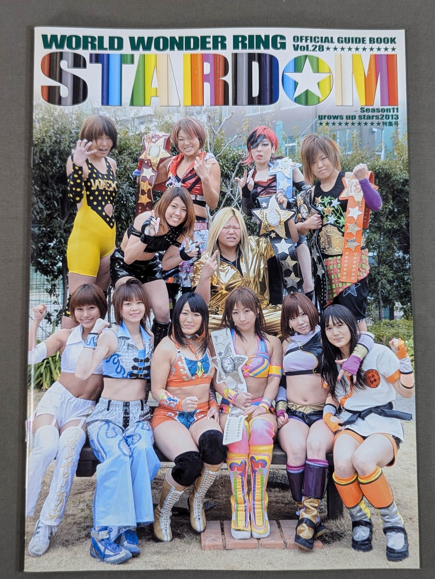愛川ゆず季 直筆サイン入り】STARDOM OFFICIAL GUIDE BOOK Vol.28 – 闘道館
