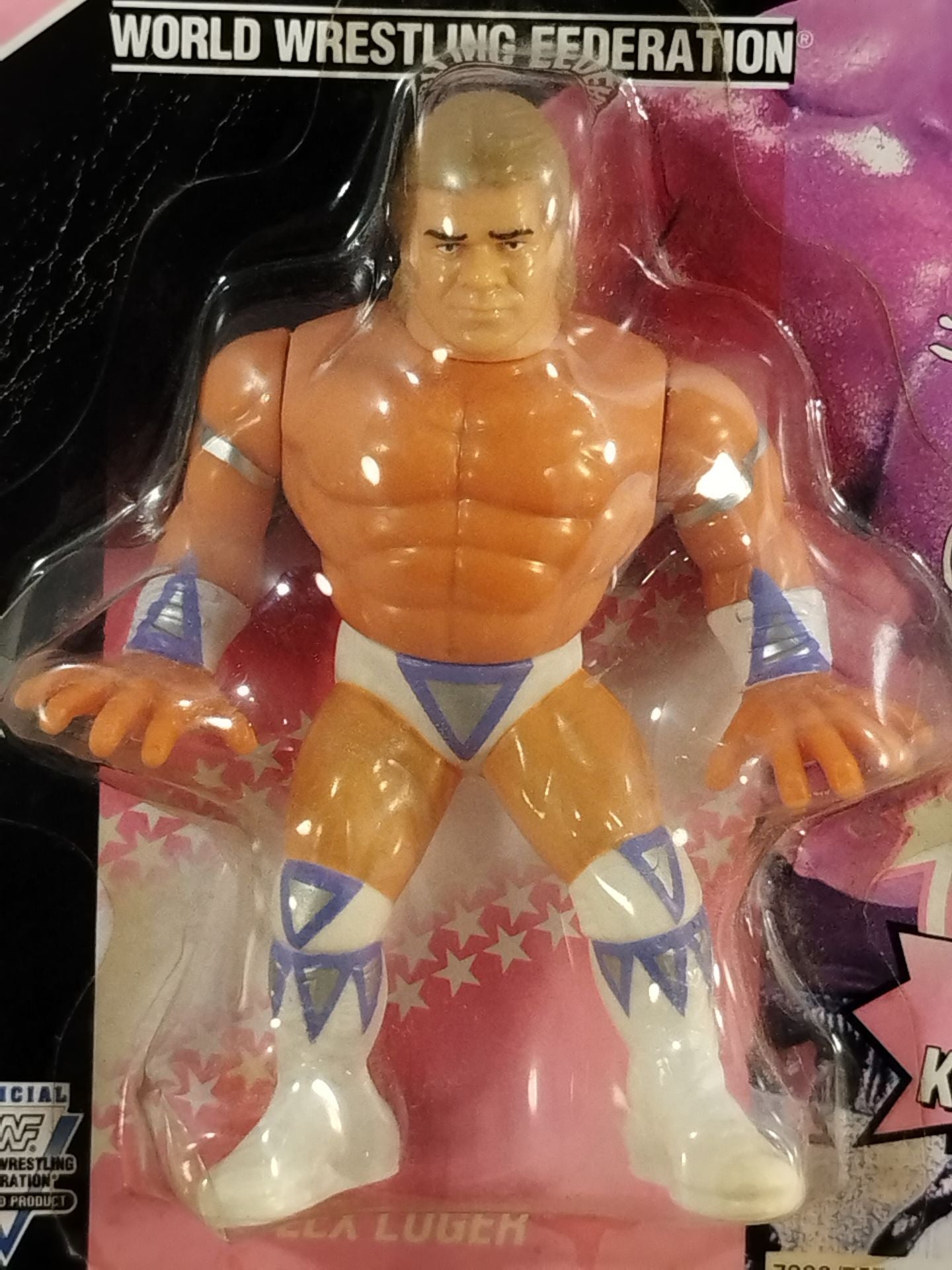 レックス・ルガー(シリーズ8) – 闘道館