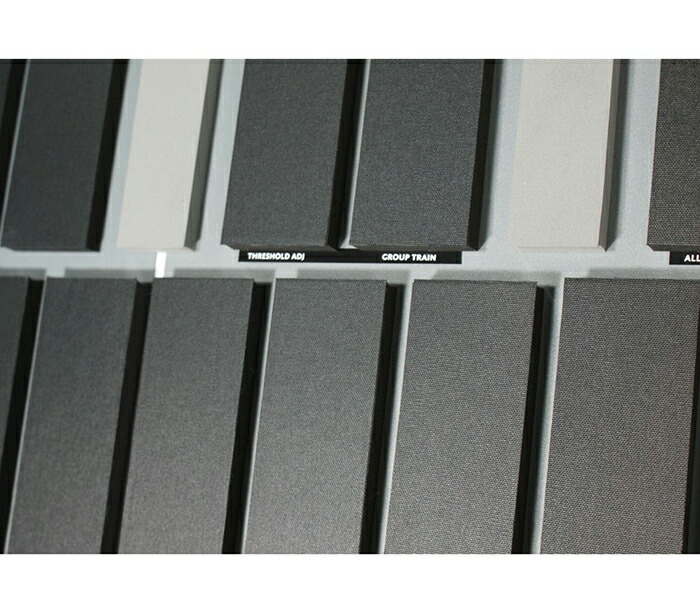 楽天市場】Alternate Mode 電子マリンバ malletKAT Grand 8【with音源