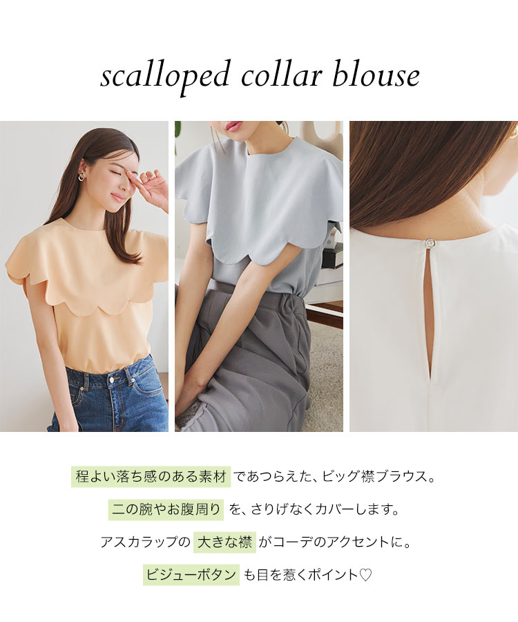 楽天市場】スカラップカラー ブラウス レディース 半袖 スカラップ襟