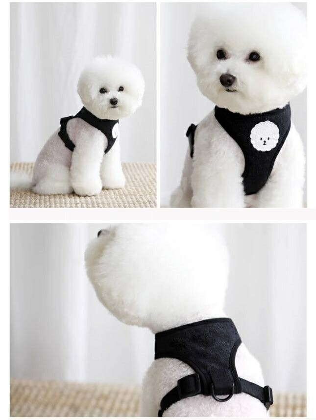 楽天市場】【大人気につき再入荷！1/14】ビションフリーゼのハーネス