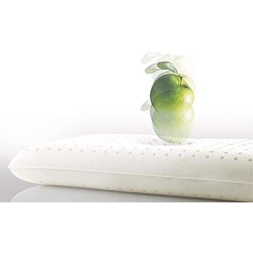 楽天市場】超ポイントバック祭目玉品◎SEALY LATEX PILLOW