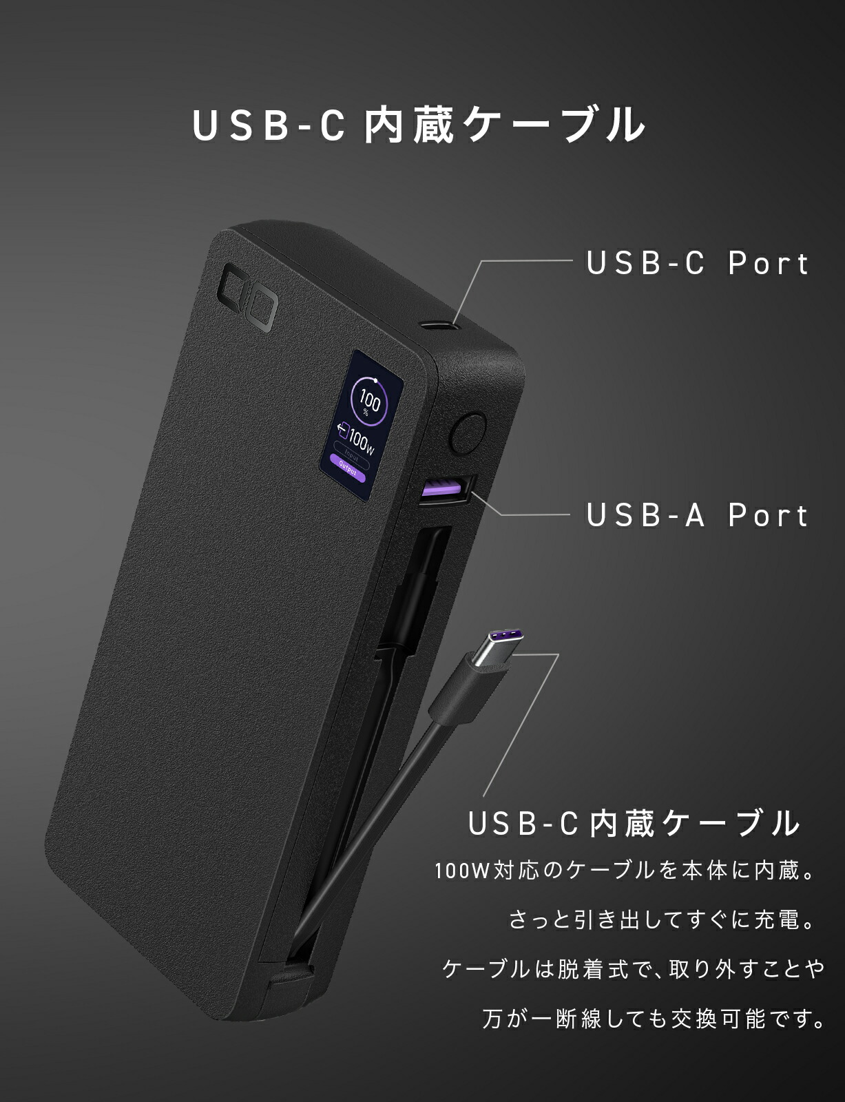 楽天市場】CIO SMARTCOBY Pro CABLE 100W 20K | モバイルバッテリー