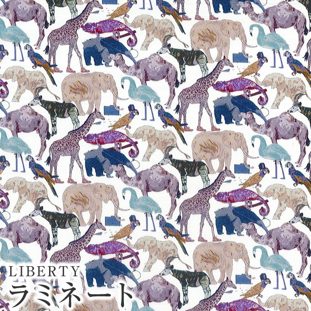 楽天市場】リバティ キューフォーザズーの通販