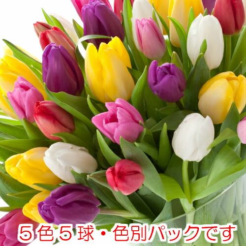 imgrc0073807696.jpg