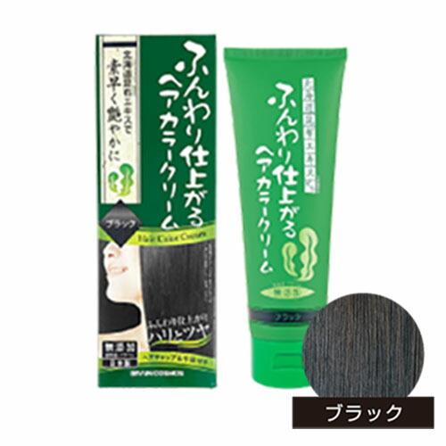 利尻昆布 ヘアカラートリートメント ブラック」の人気商品一覧 | 安い