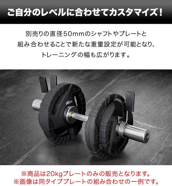 楽天市場】【楽天1位】ダンベルプレート 穴あき 20kg 1枚 単品 穴径