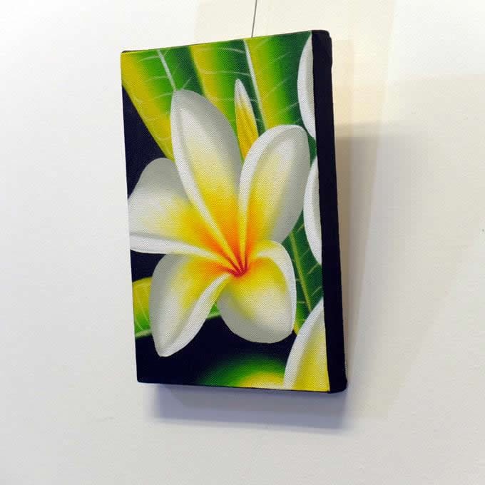 楽天市場】【ポイントUP！】プルメリア 絵画 プルメリアSー001 バリ