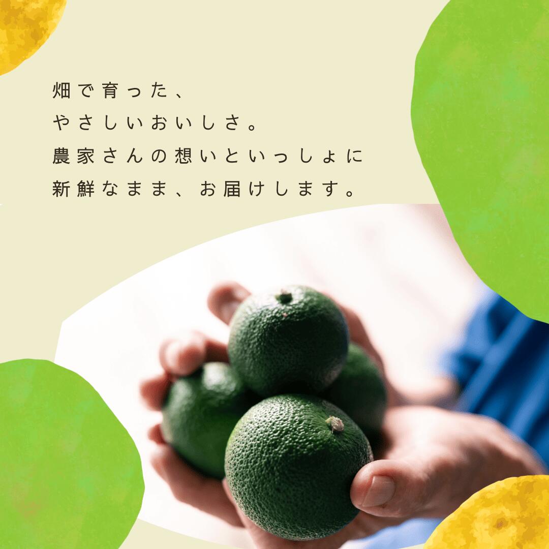 楽天市場】長門ゆずきち果汁（青）1リットル ゆずきち 長門ゆずきち