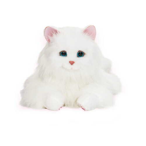 楽天市場】デジレクト しっぽふりふり あまえんぼう 子ねこちゃん