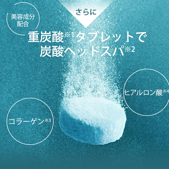 楽天市場】【4300円OFFクーポン】SALONIA サロニア ファインバブル