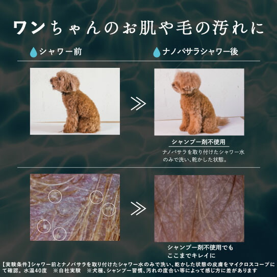 楽天市場】【公式ストア】 ナノバサラ nanowasala 高速ナノバブル水