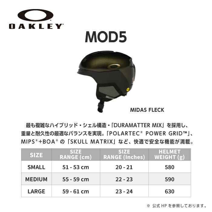楽天市場】レビューでクーポン☆[日本正規品]スノーボード スキー
