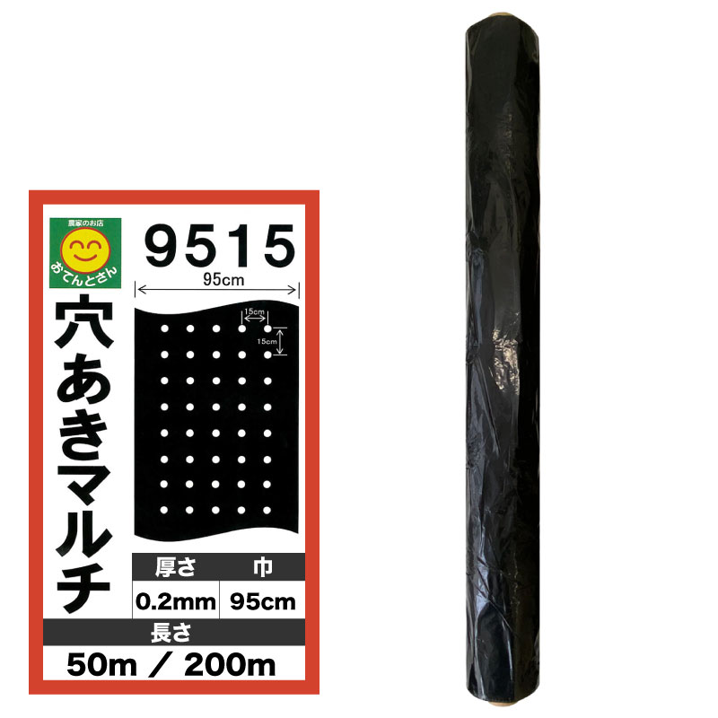楽天市場】穴あき黒マルチ 9515 厚0.02mm×幅95cm×長50m／厚0.02mm×幅