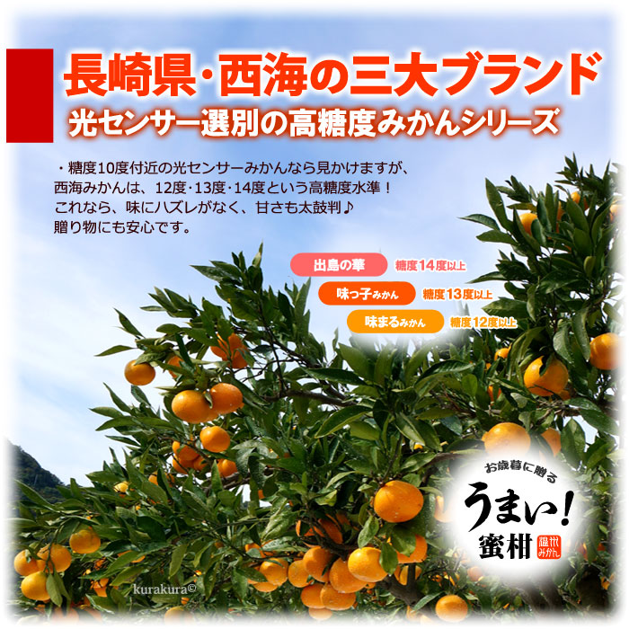 楽天市場】西海みかん 味っ子 みかん (5kg) 長崎産 秀品 SS～M 秀 甘い
