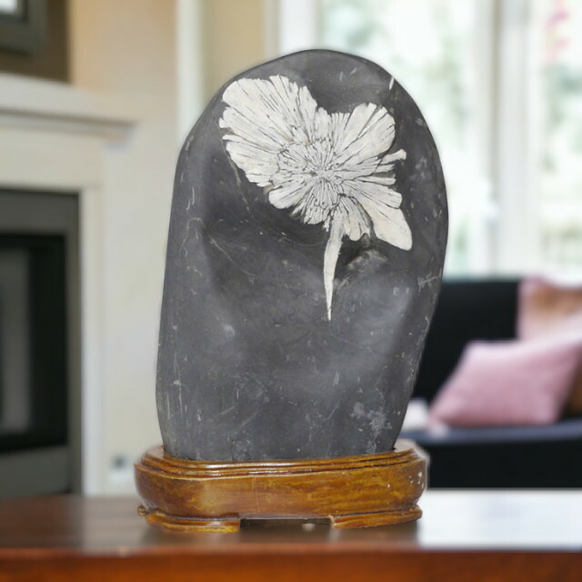 楽天市場】菊花石 No.260 観賞用 鉱石 天然 天然石 原石 インテリア