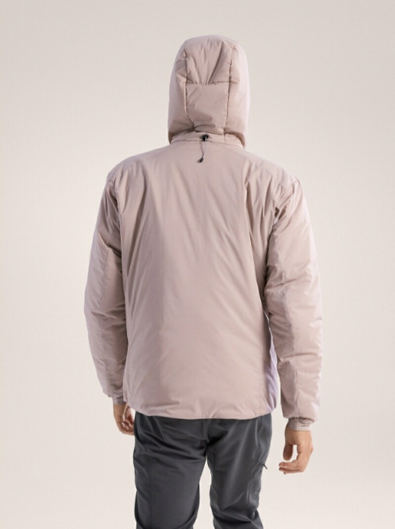 楽天市場】アークテリクス ARC'TERYX Atom Heavyweight Hoody Men Rune