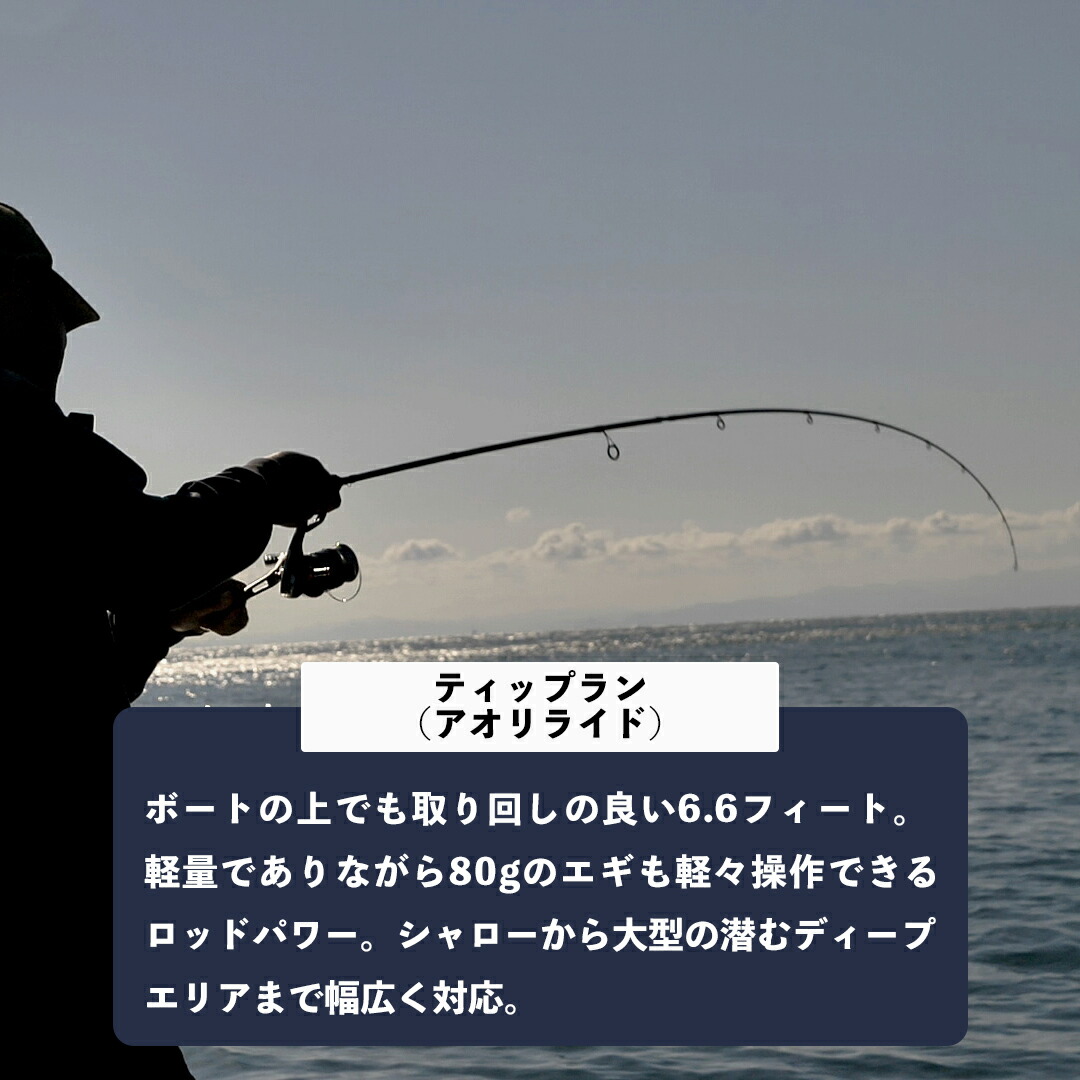 楽天市場】あおりねっと アオリライド エギングTRメタル66 （メタル