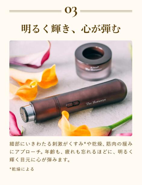 楽天市場】【公式限定2年保証】目元美顔器【A.GLOBAL公式】The