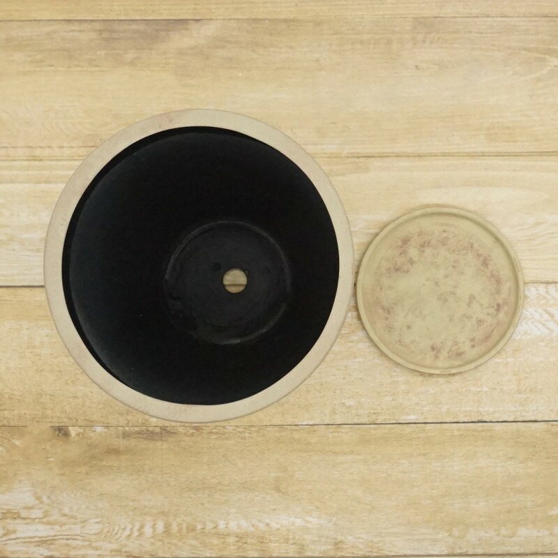 楽天市場】植木鉢 おしゃれ 陶器鉢 レイブントールTL (2色)＜ 21cm 7号