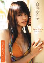 楽天ブックス: 白鳥百合子／like a Flower - 白鳥百合子