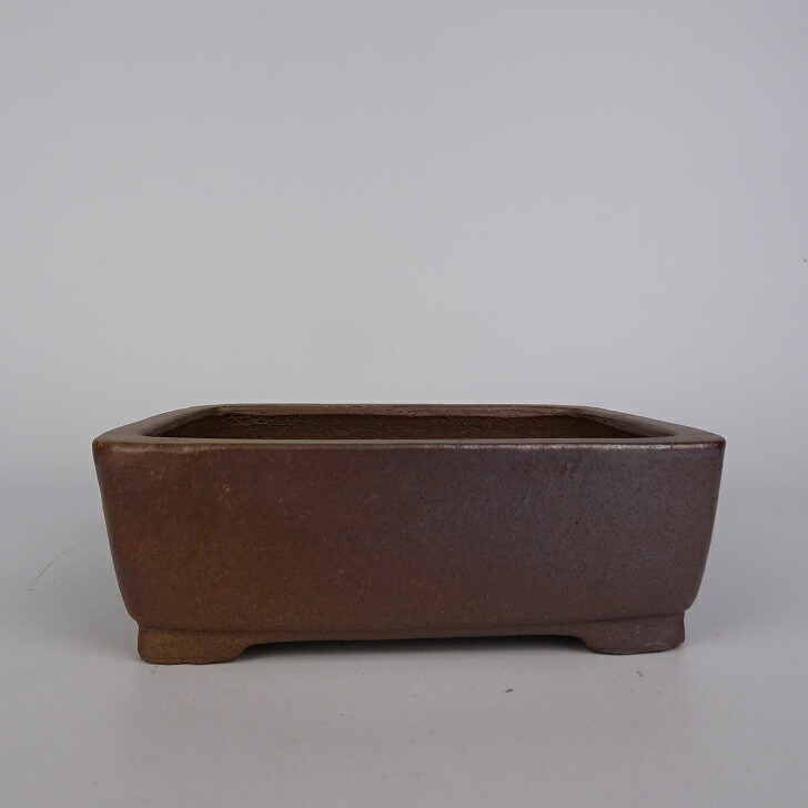 楽天市場】盆栽鉢 常滑の通販