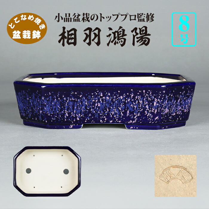 楽天市場】鴻陽 鉢の通販