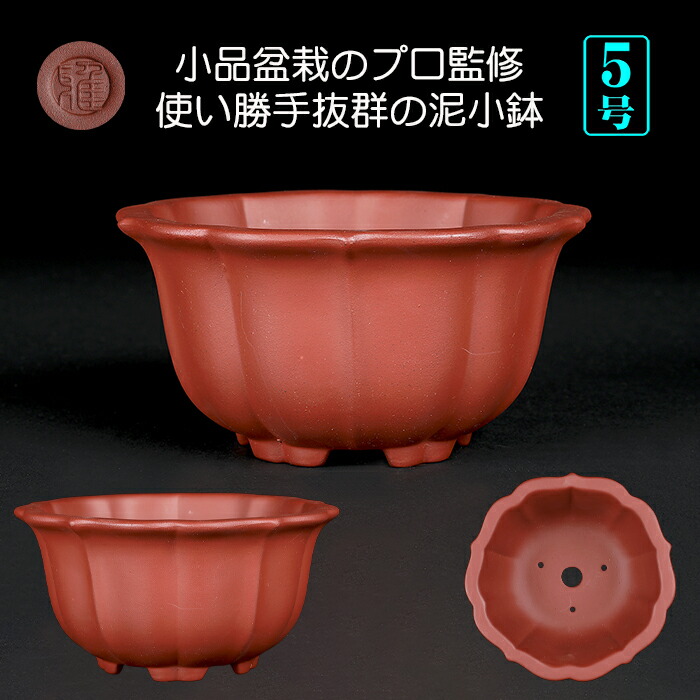 楽天市場】盆栽鉢 朱泥の通販