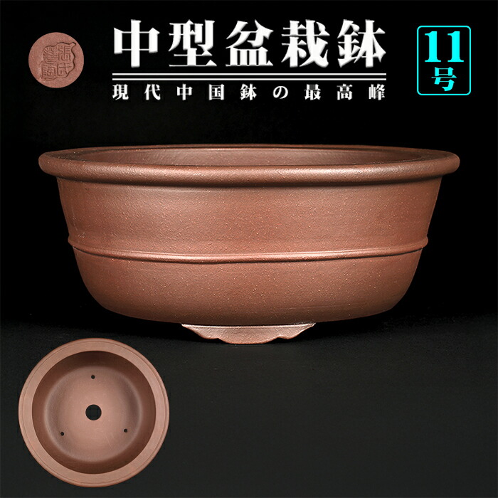 楽天市場】紫泥 鉢の通販