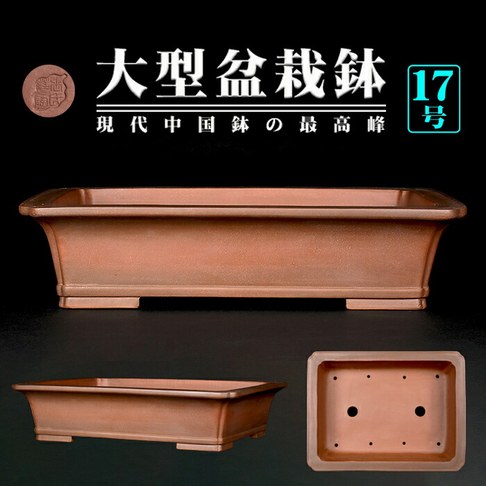 中国 植木鉢」の人気商品一覧 | 安い商品を通販サイトから探す - 価格.com