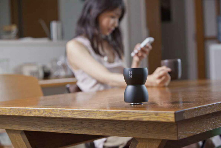 楽天市場】BASS EGG ベースエッグ 表面反響型 Blutoothスピーカー 20W