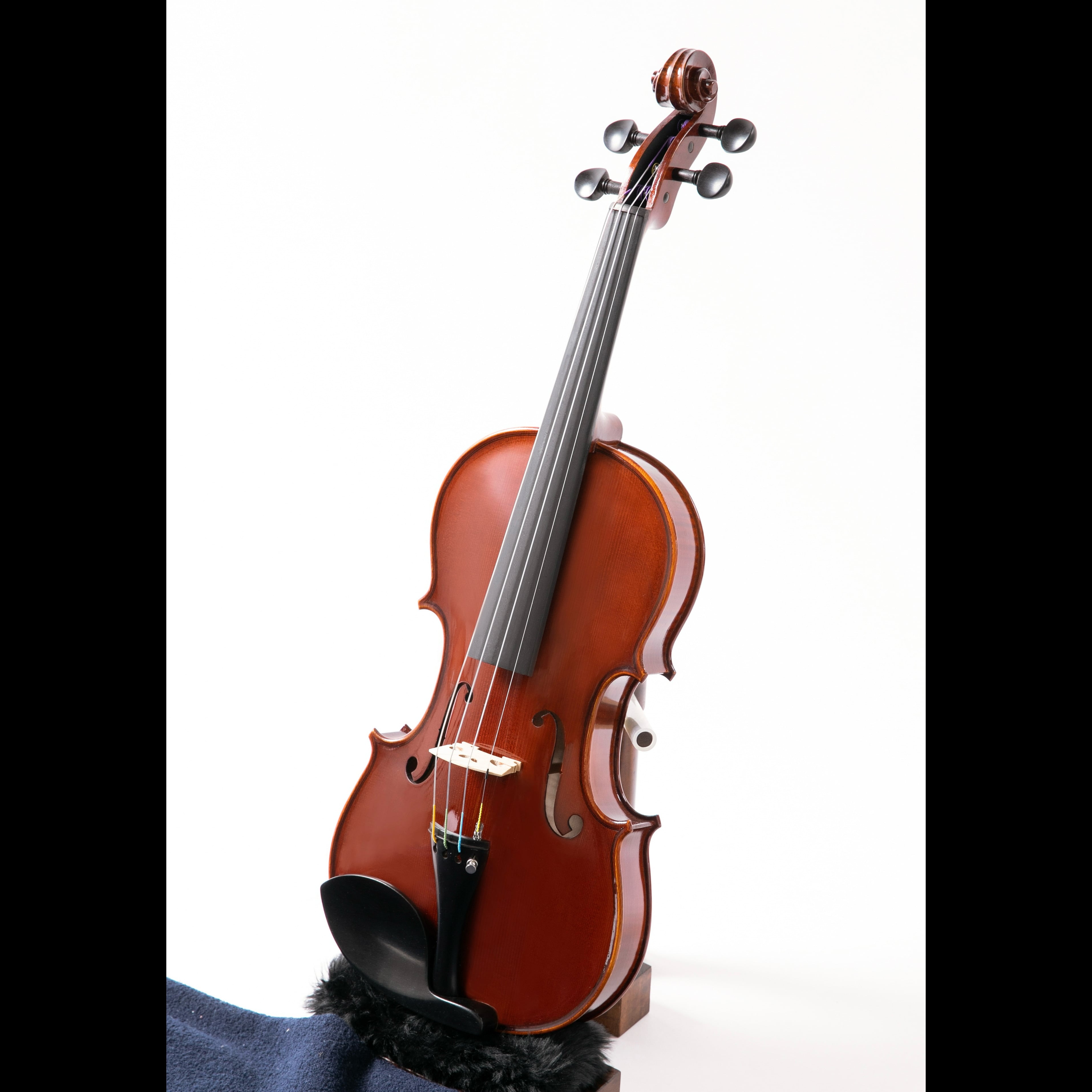 楽天市場】鈴木バイオリン ヴァイオリン No.510 4/4,3/4,1/2,1/4サイズ