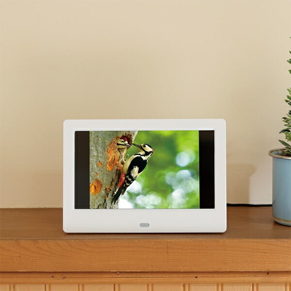 楽天市場】キヤノン 望遠鏡型カメラコンパクト デジタルフォトフレーム