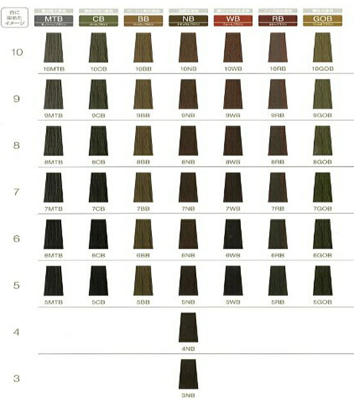 楽天市場】フィヨーレ BLカラー ラディーチェ 7BB 120g ベージュ