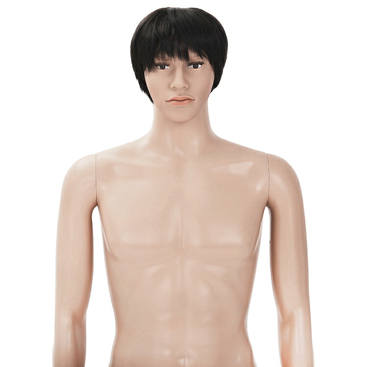 楽天市場】ひざ上トルソー メンズ 高さ115cm 【Y体】 B98×W76×H94cm