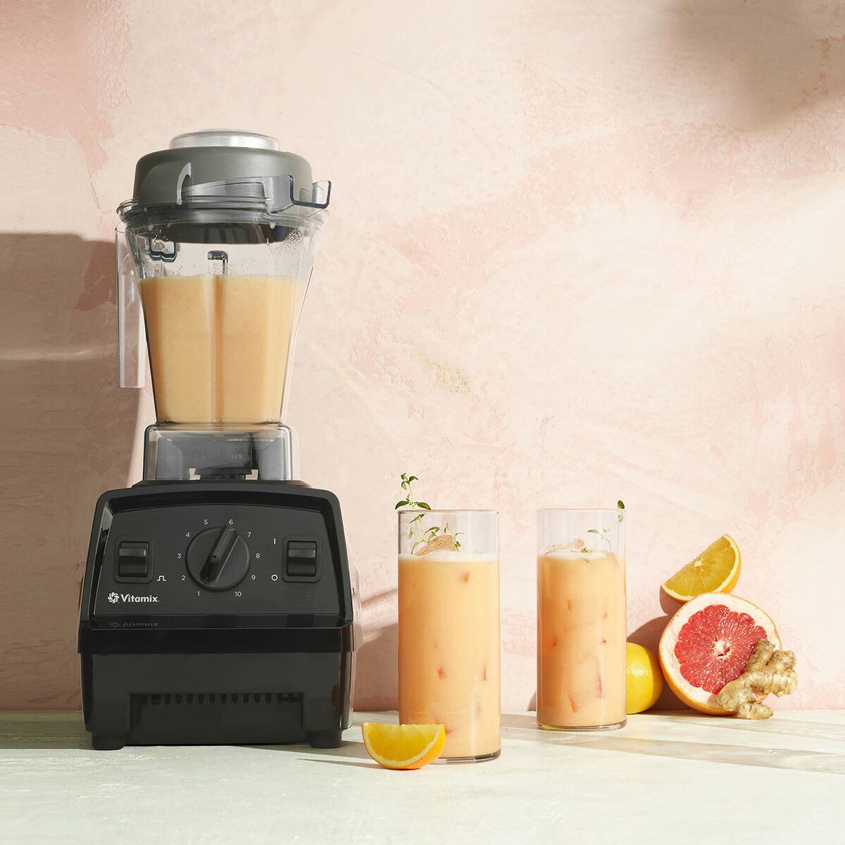 楽天市場】【公式】Vitamix バイタミックス E310 【日本輸入総代理店