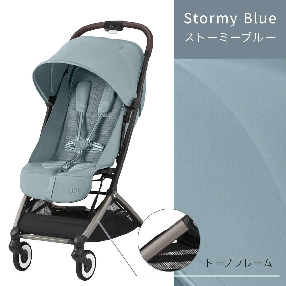 楽天市場】【数量限定バンパーバープレゼント】 サイベックス