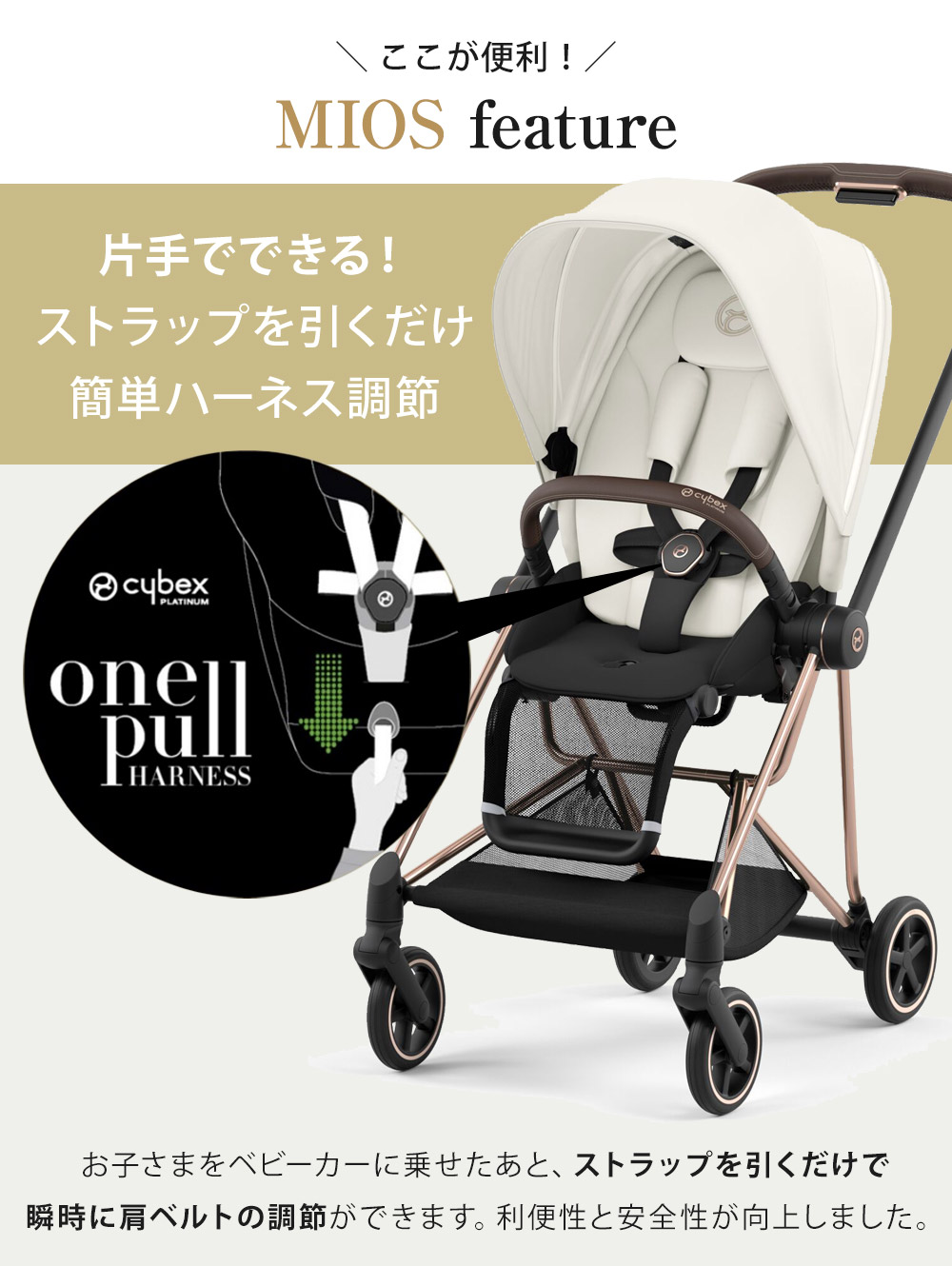 楽天市場】サイベックス ミオス JP3 ローズ ゴールド フレーム フル