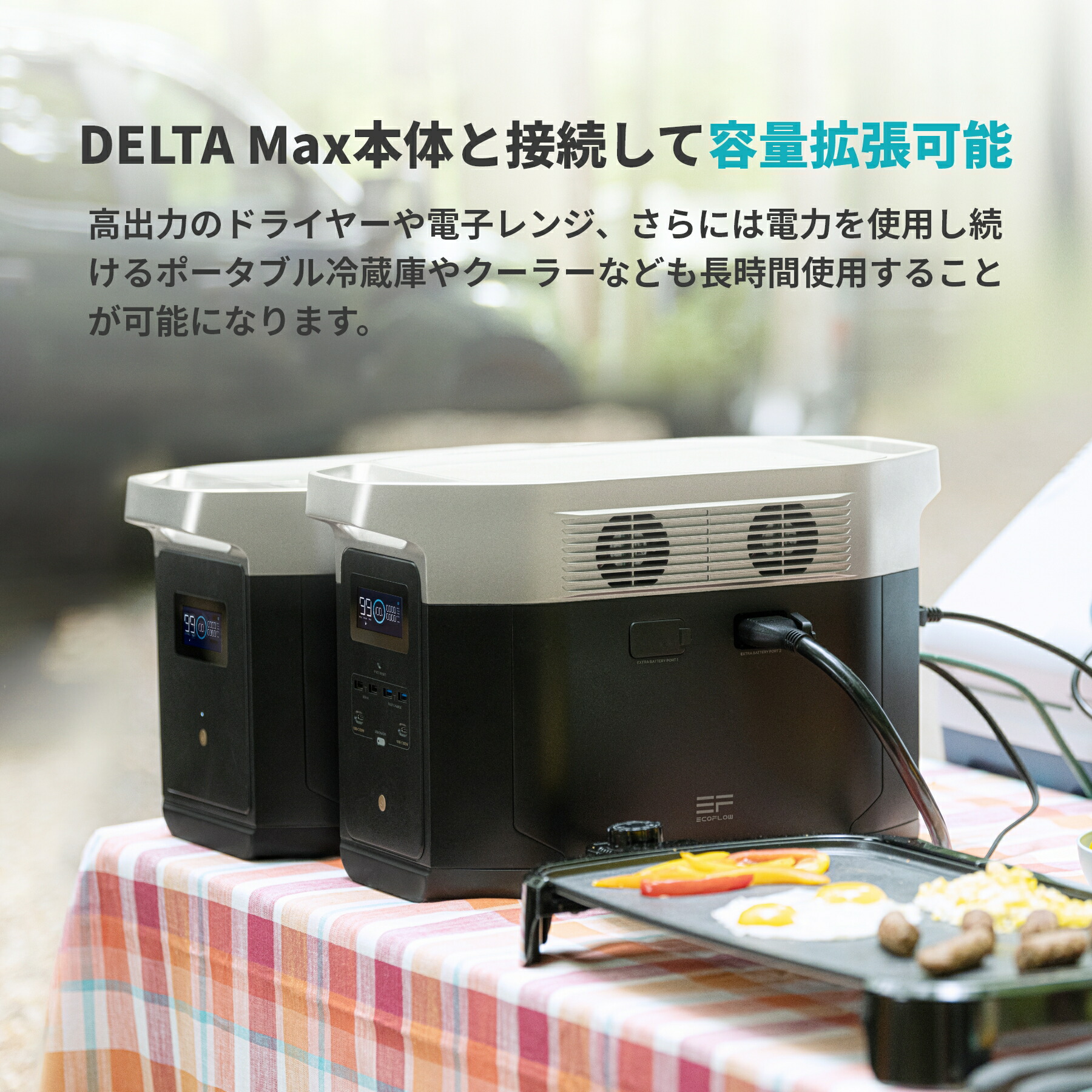 楽天市場】【売り切れ】EcoFlow DELTA Max専用エクストラバッテリー