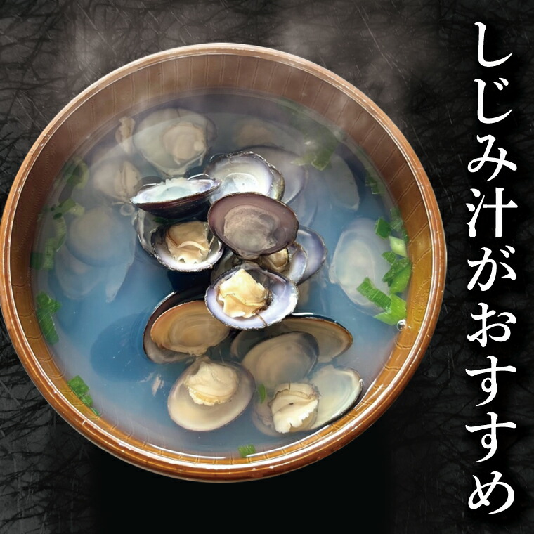 楽天市場】【ふるさと納税】涸沼産 大粒 シジミ 1kg しじみ 蜆 大和