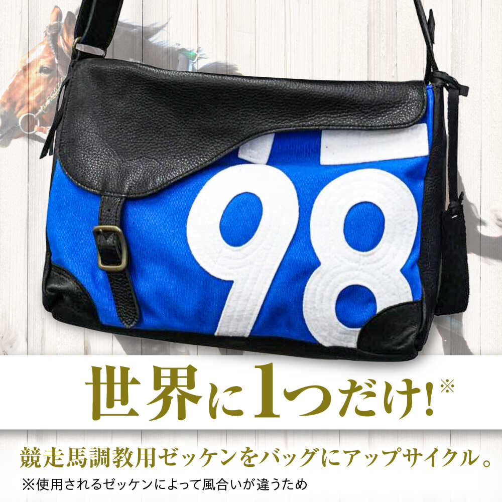 楽天市場】【ふるさと納税】【JRA/日本中央競馬会】【選べるカラー