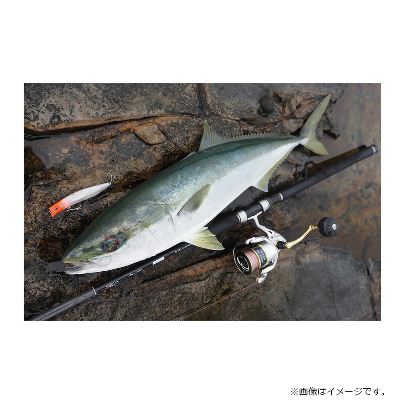 楽天市場】トランスセンデンス Empinado エンピナード 91S+ Rev.2 EVA