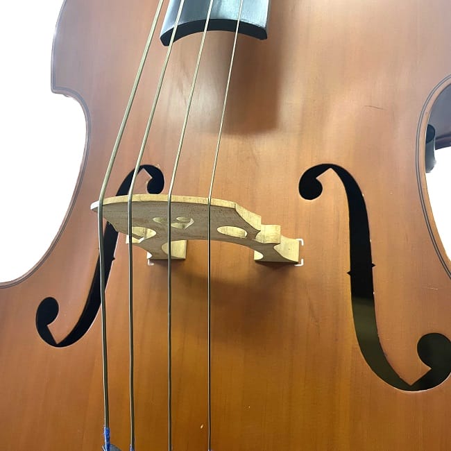 楽天市場】【関東配送限定】Hallstatt コントラバス ウッドベース 送料