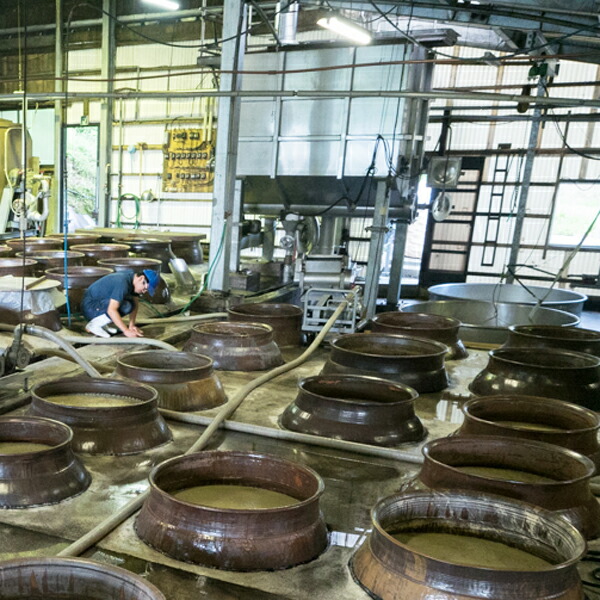 楽天市場】【超限定！】 村尾 芋焼酎 かめ壺仕込み ANAラベル 25度