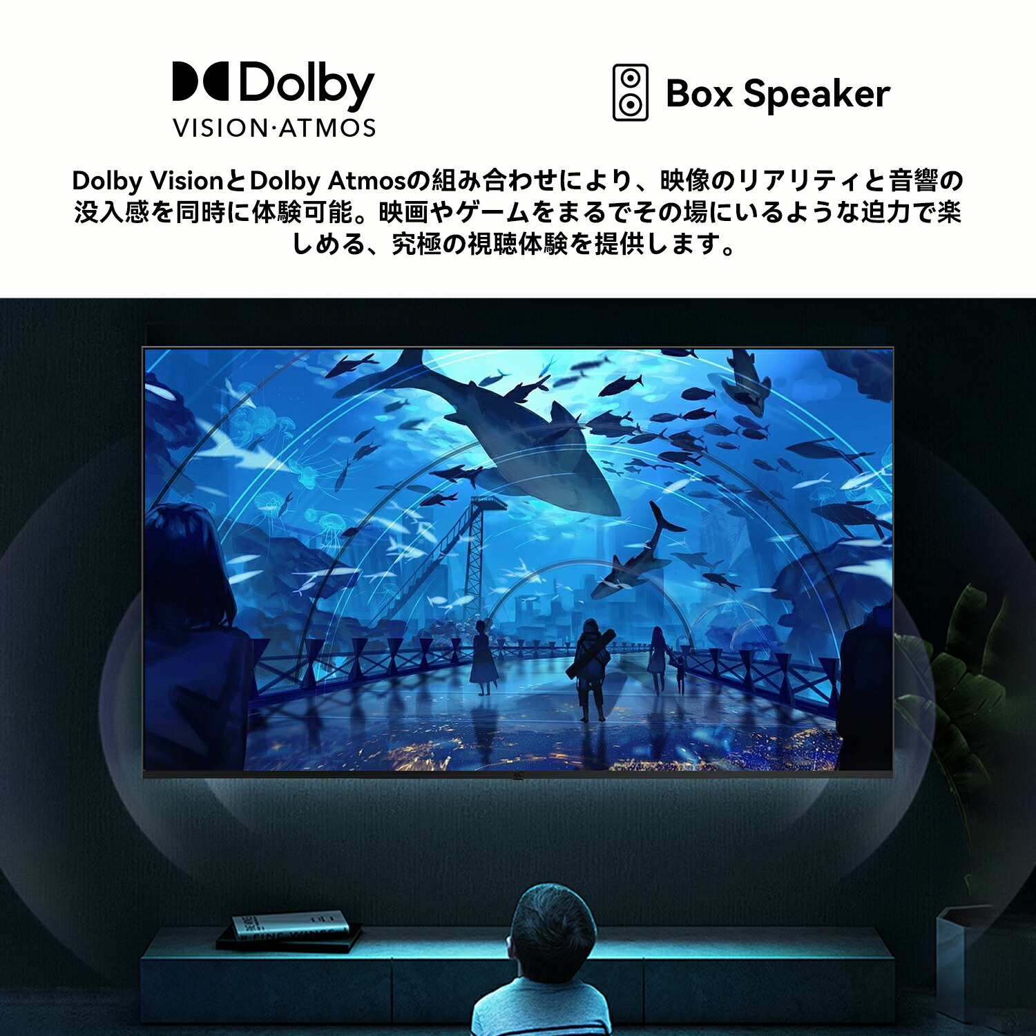 楽天市場】FPD テレビ 43型 チューナーレステレビ ブルーライトカット