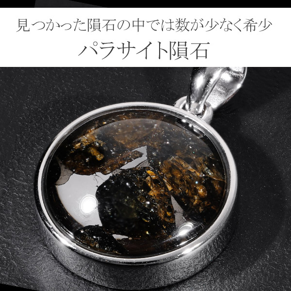 楽天市場】パラサイト 隕石 メテオライト シルバー ペンダントトップ
