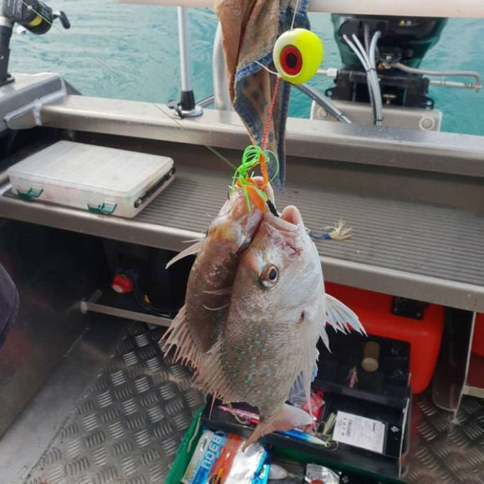 楽天市場】タイラバヘッド 150g 200g 2個セット KAIRI 鯛ラバ ヘッド